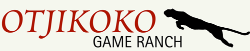 otjikoko.com